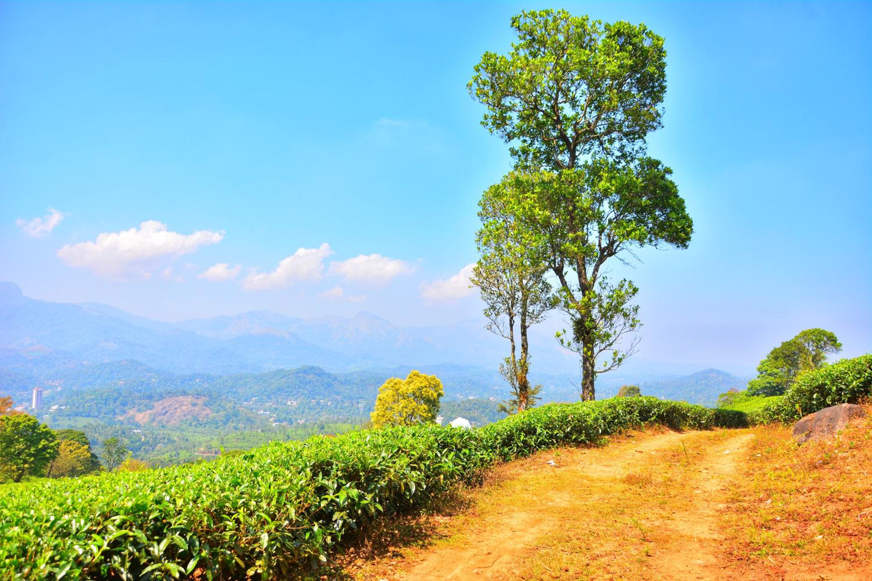 Annapara Home Stay 25/41