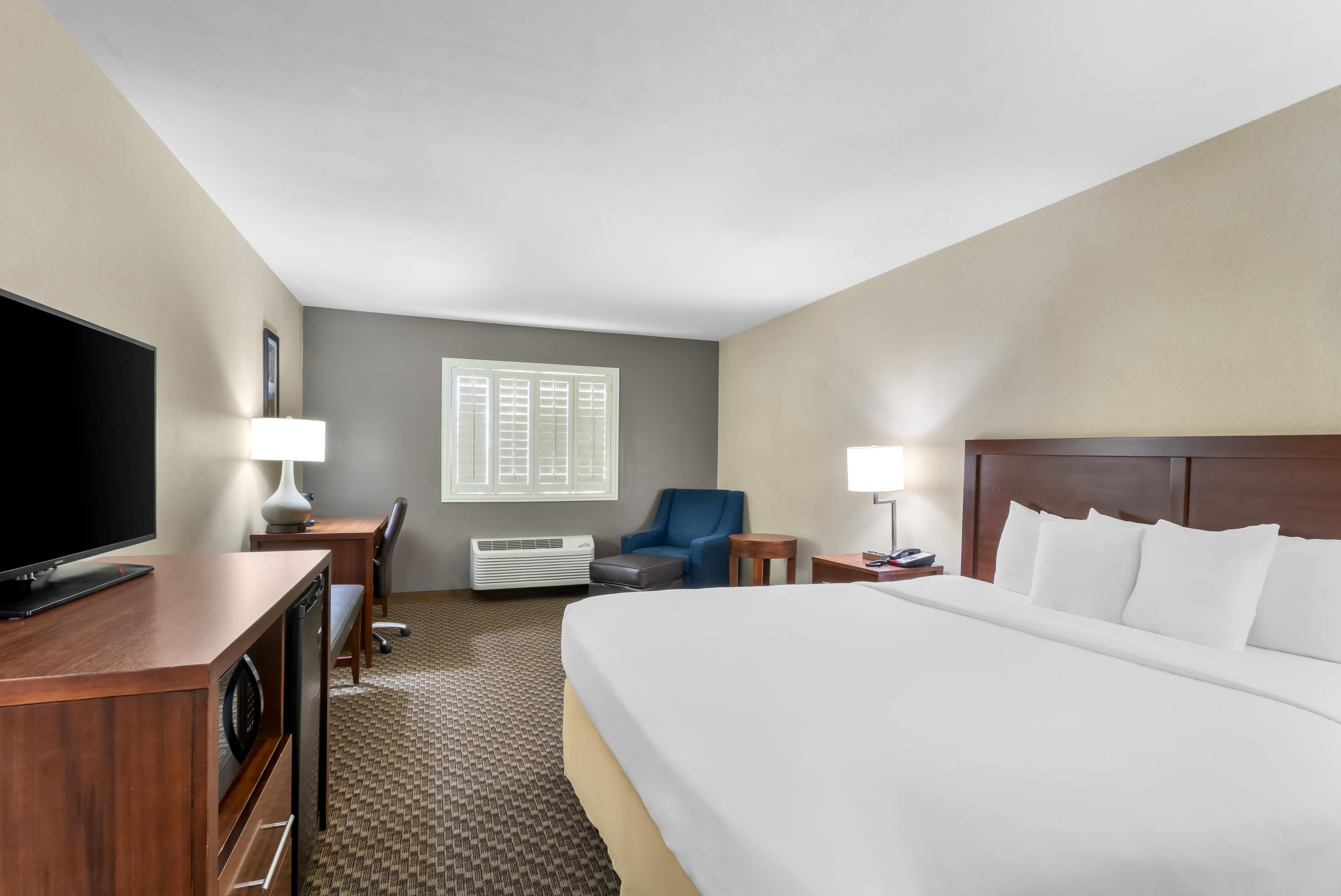 Room, King Bed