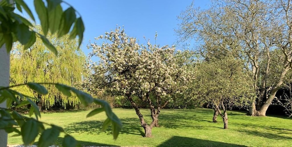 Hope Orchard Bed & Breakfast 36/46