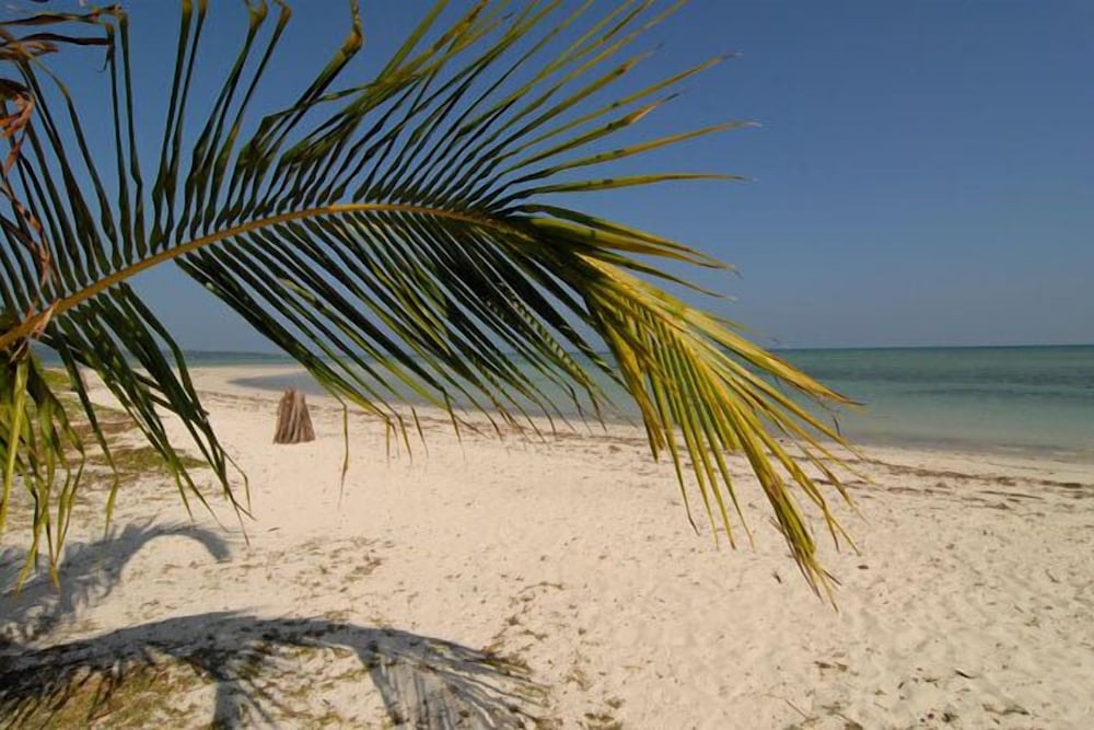 Silver Sand Beach Resort 27/50