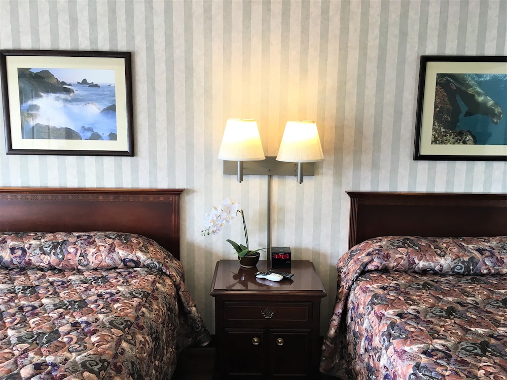 Emerald Dolphin Inn 9/62