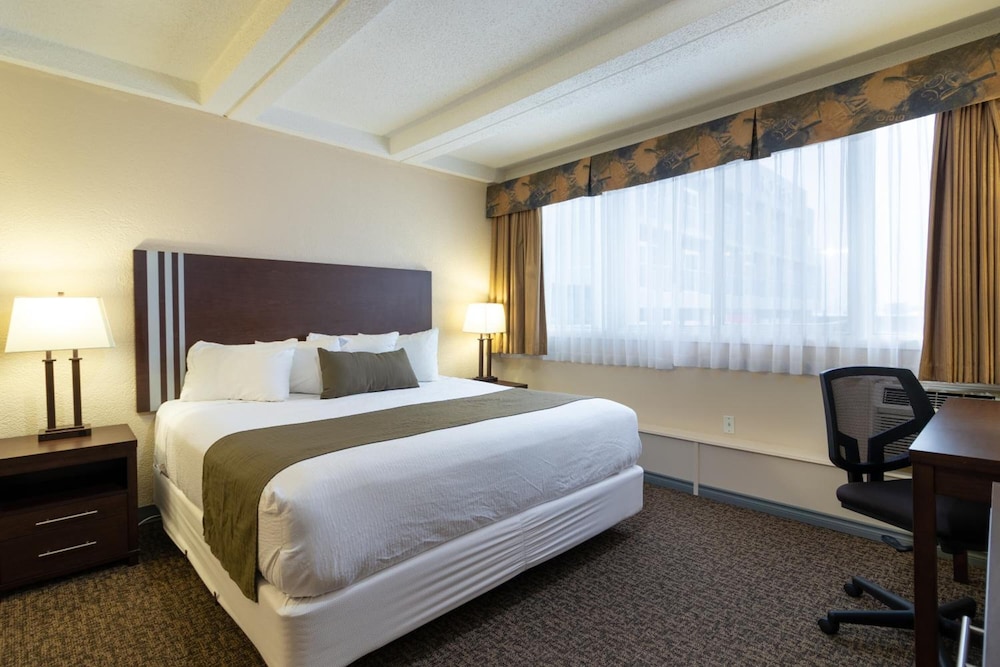 Bcm Inns Fort Mcmurray - Downtown 14/21