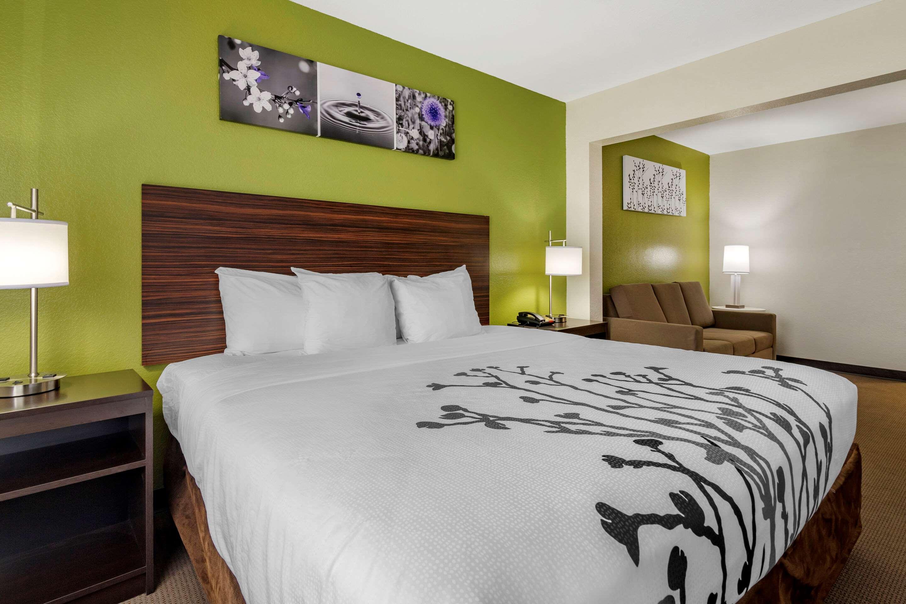 SUITE, KING BED