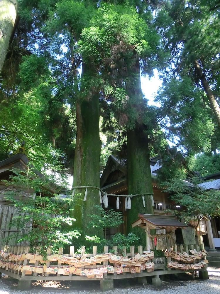 Hotel Grateful Takachiho 38/38