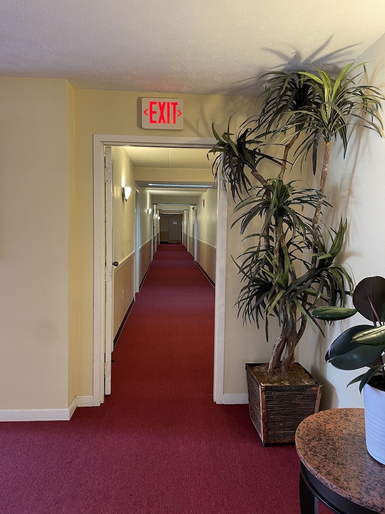 Gold Star Inn Suites 19/40