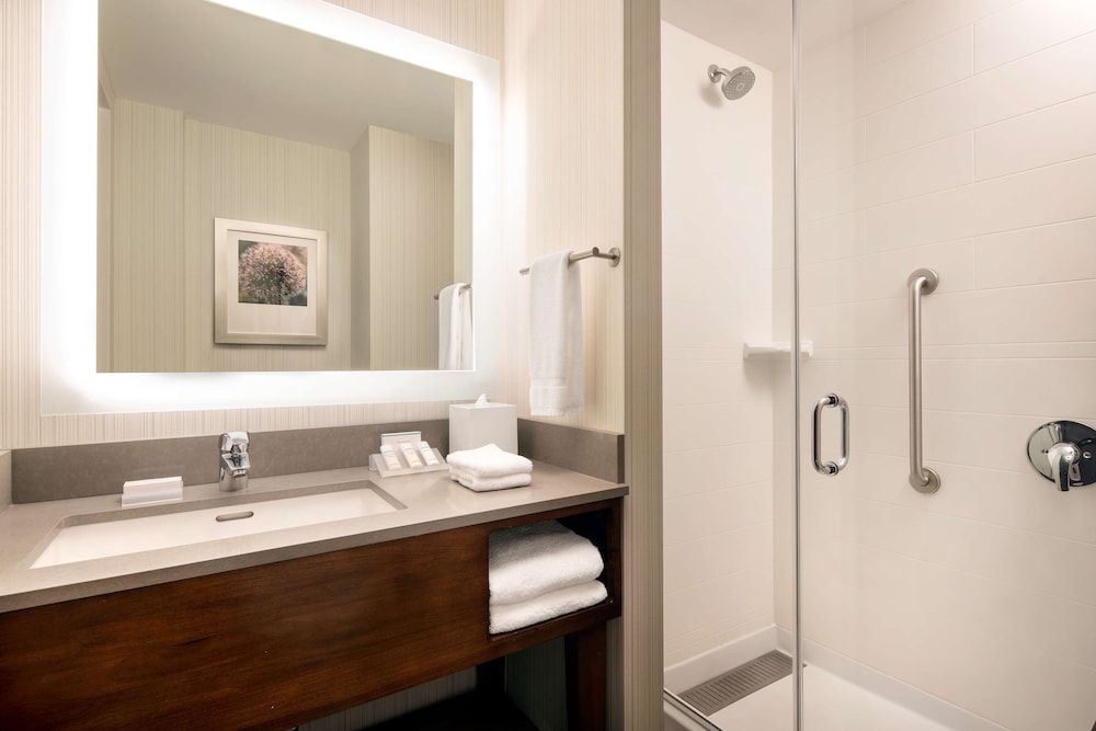 Hilton Garden Inn Long Island City New York 16/62