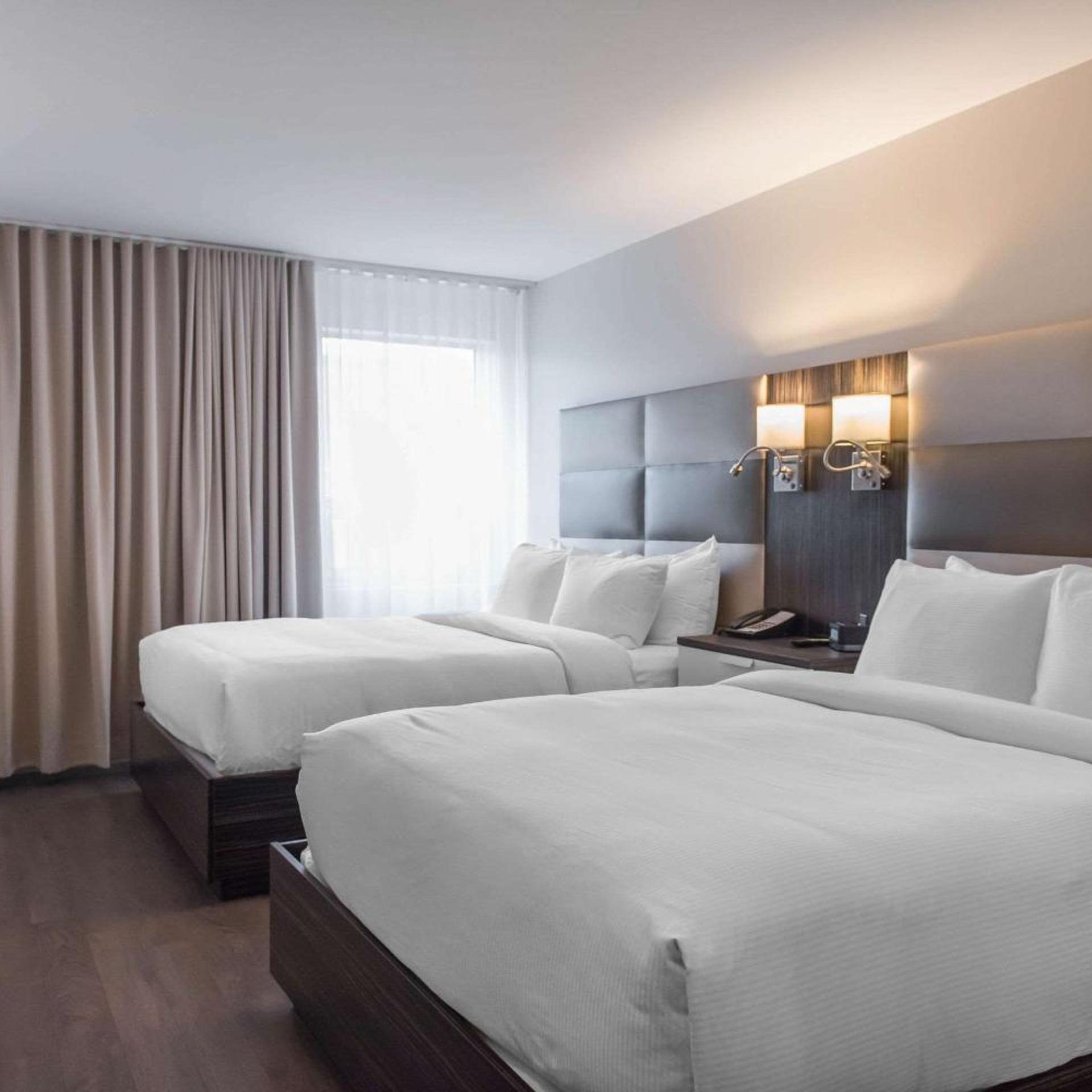 Suite, 2 Queen Beds, Sofa