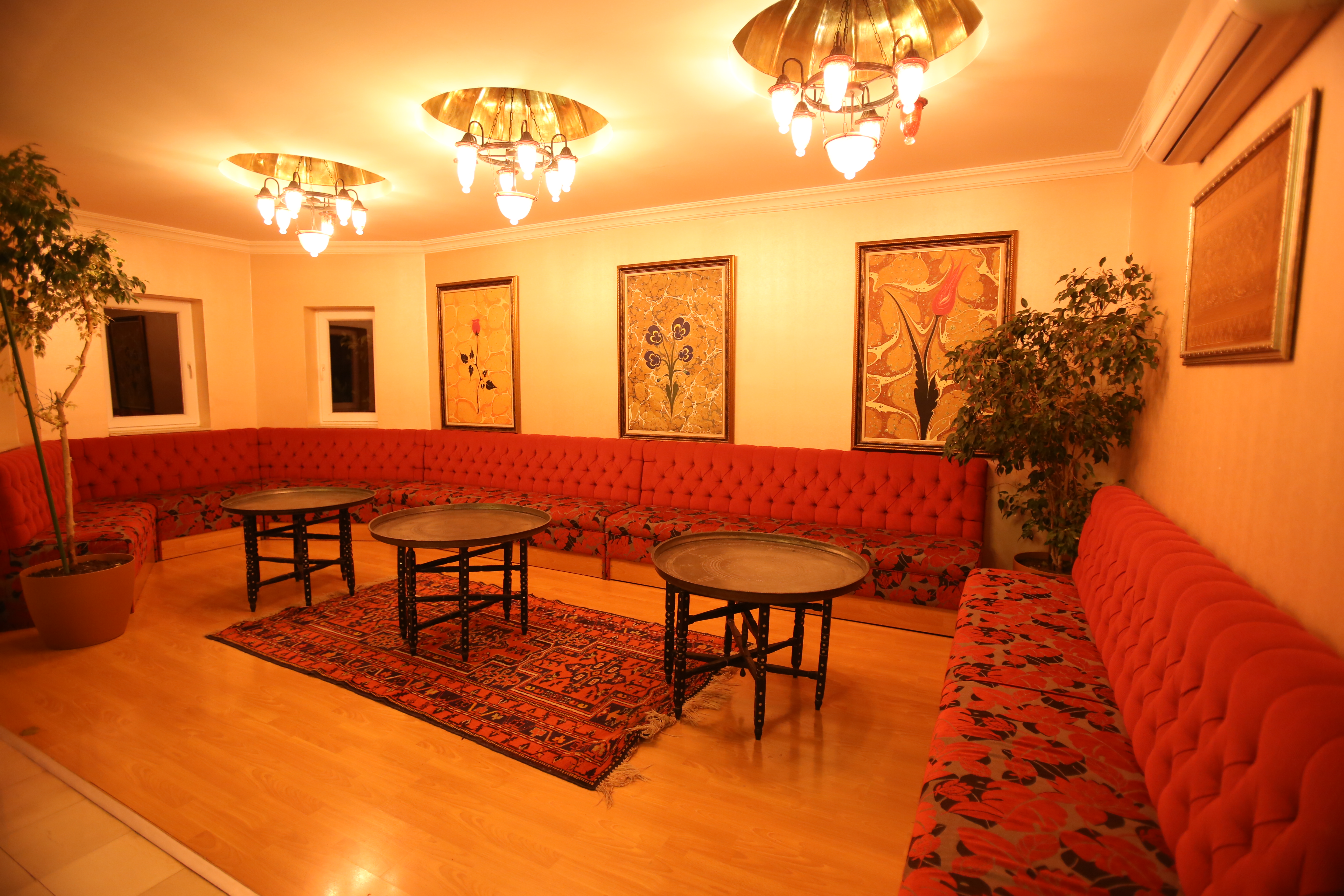 Viking Garden Hotel and Spa 29/51