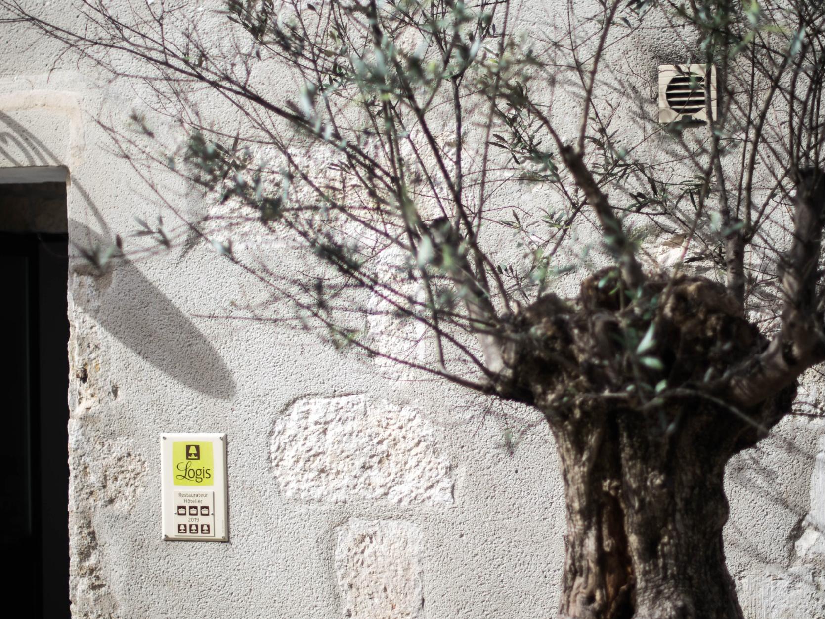 Hotel La Bastide Des Oliviers 28/28