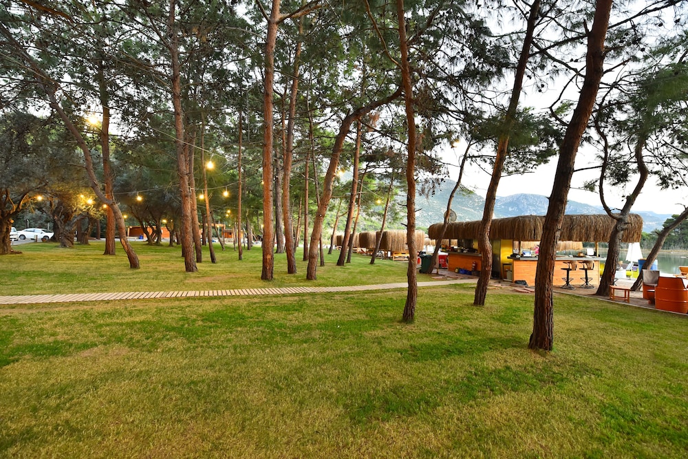 Green Pine Beach & Bungalows Luxury Concept 29/50