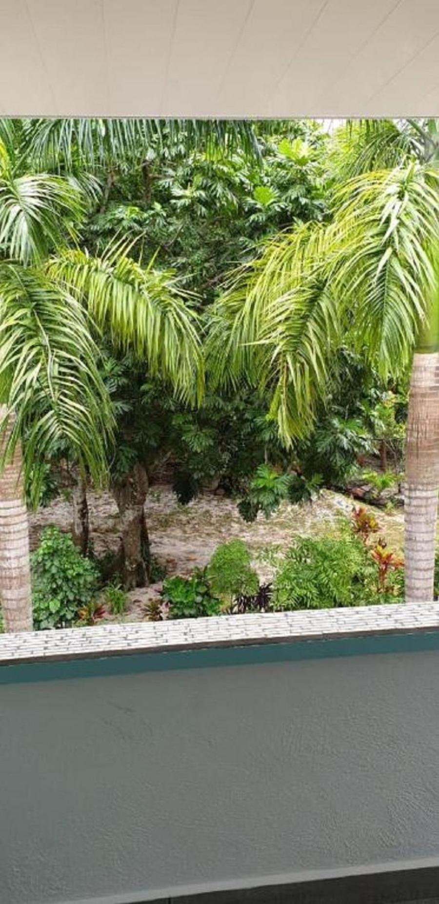 La Digue Self Catering 39/46