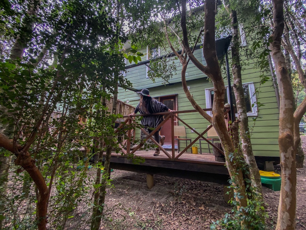 Cabanas Anulen Bosque Nativo 25/49