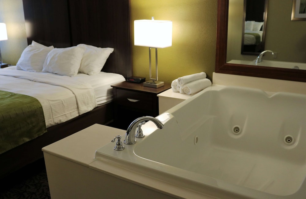 Best Western Plaza Inn 29/78