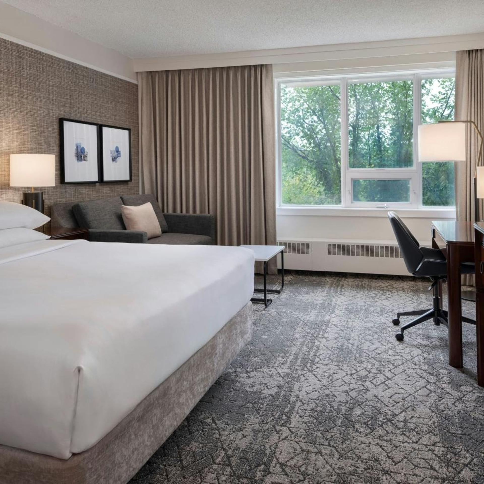 Guest Room, Classic, King Bed, Sofa