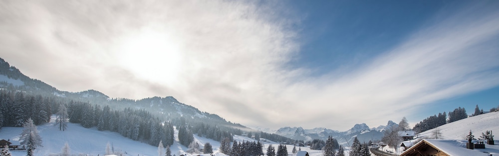Golfhotel Les Hauts de Gstaad 37/39