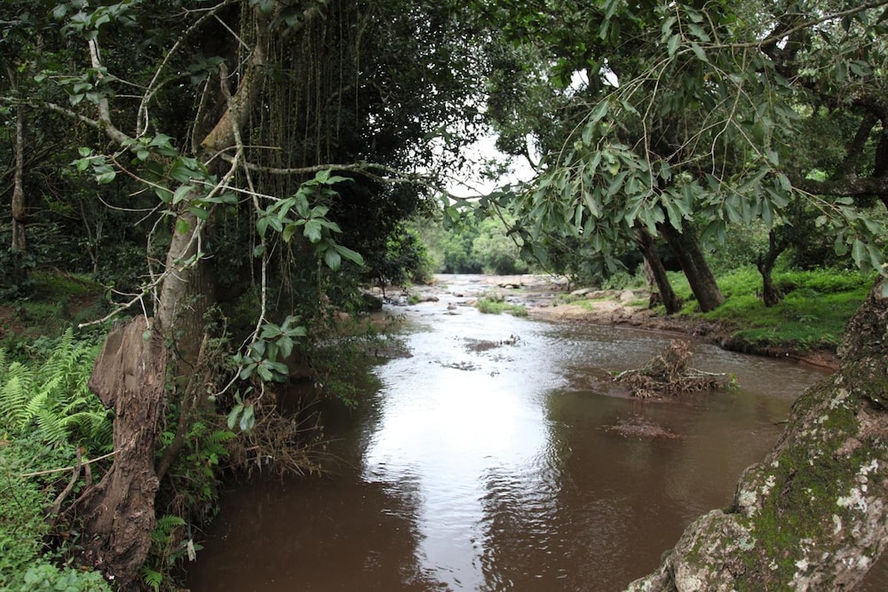 Elephant Valley Eco Farm Hotel 34/54