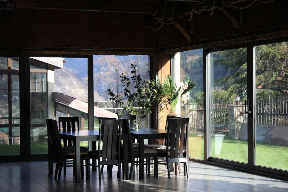 Borjomi Palace Hotel and Spa 37/50