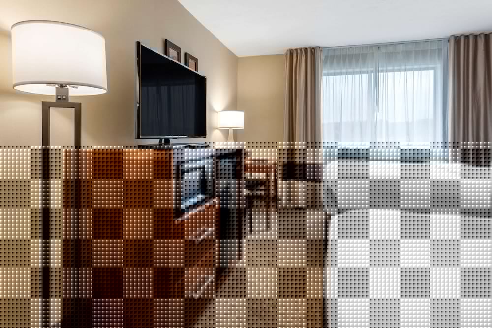 Comfort Inn & Suites Montpelier-Berlin 20/45