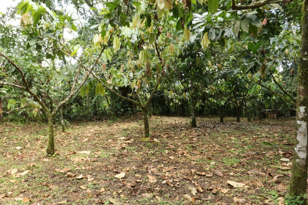 Tirimbina Rainforest Lodge 34/50