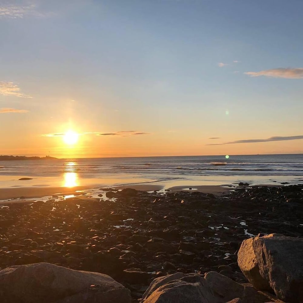 Anchorage Inn and Resort 43/50
