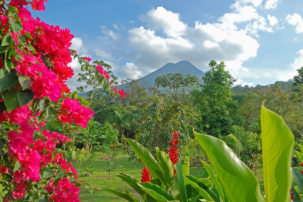 VOLCANO LODGE AND SPRINGS 55/68