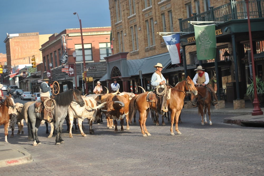 Stockyards Hotel 39/47
