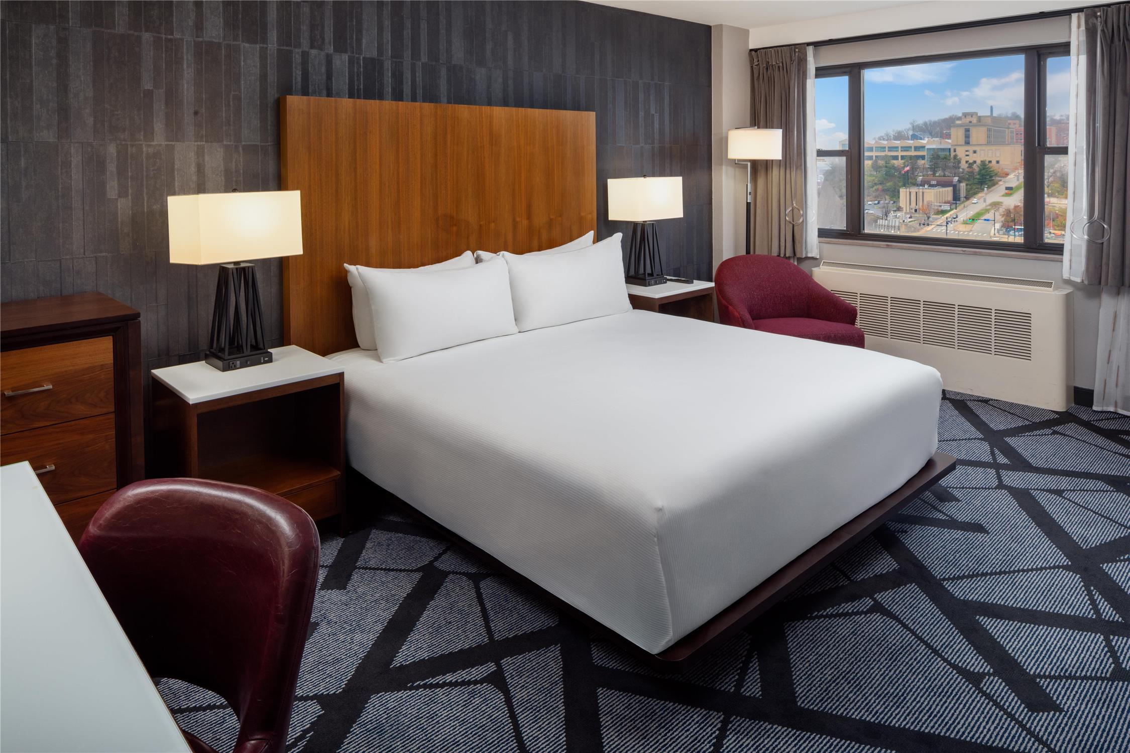 Skyline, King Bed, Downtown View