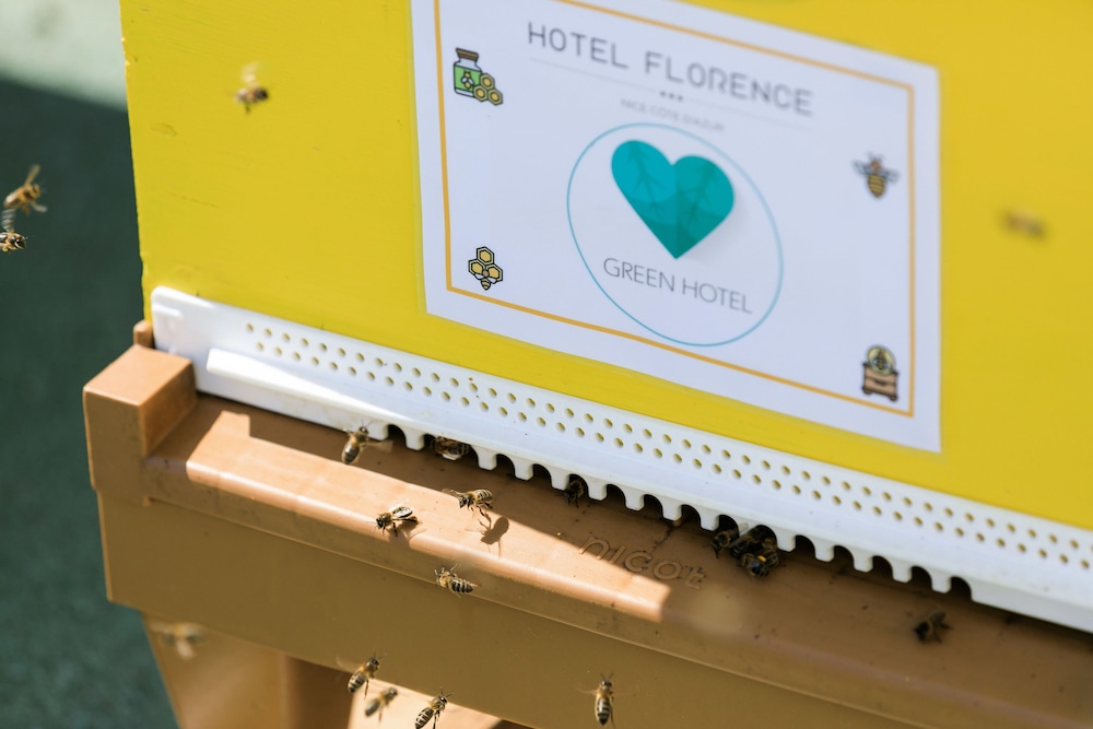 Hotel Florence Nice 6/63