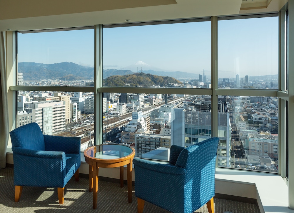Hotel Grand Hills Shizuoka (ex Hotel Century Shizuoka) 18/36