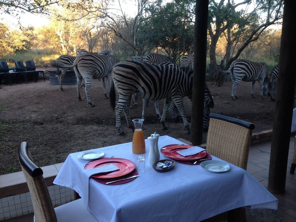 Imbube Safari Lodge 39/50
