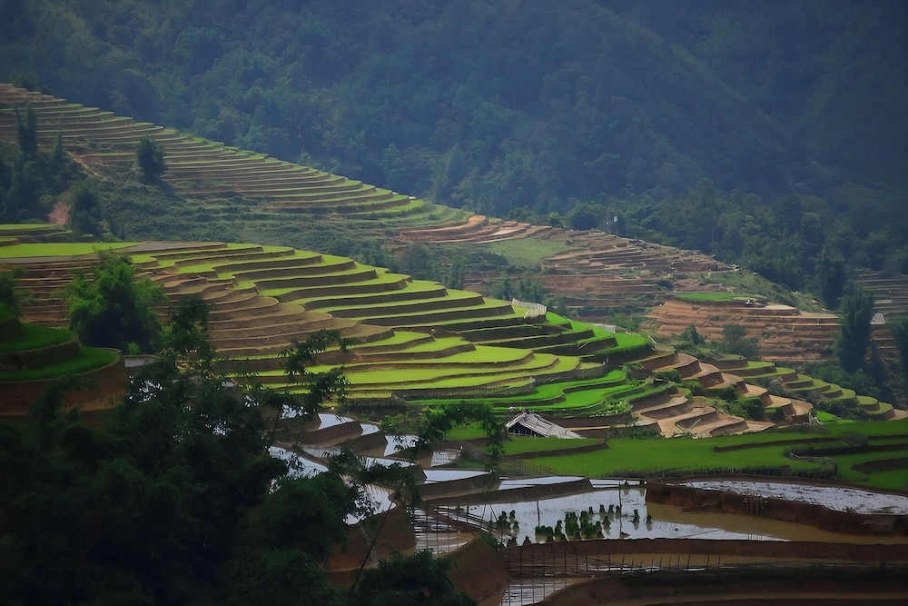 Sapa Mountain Resort, Affiliated by Melia 46/50