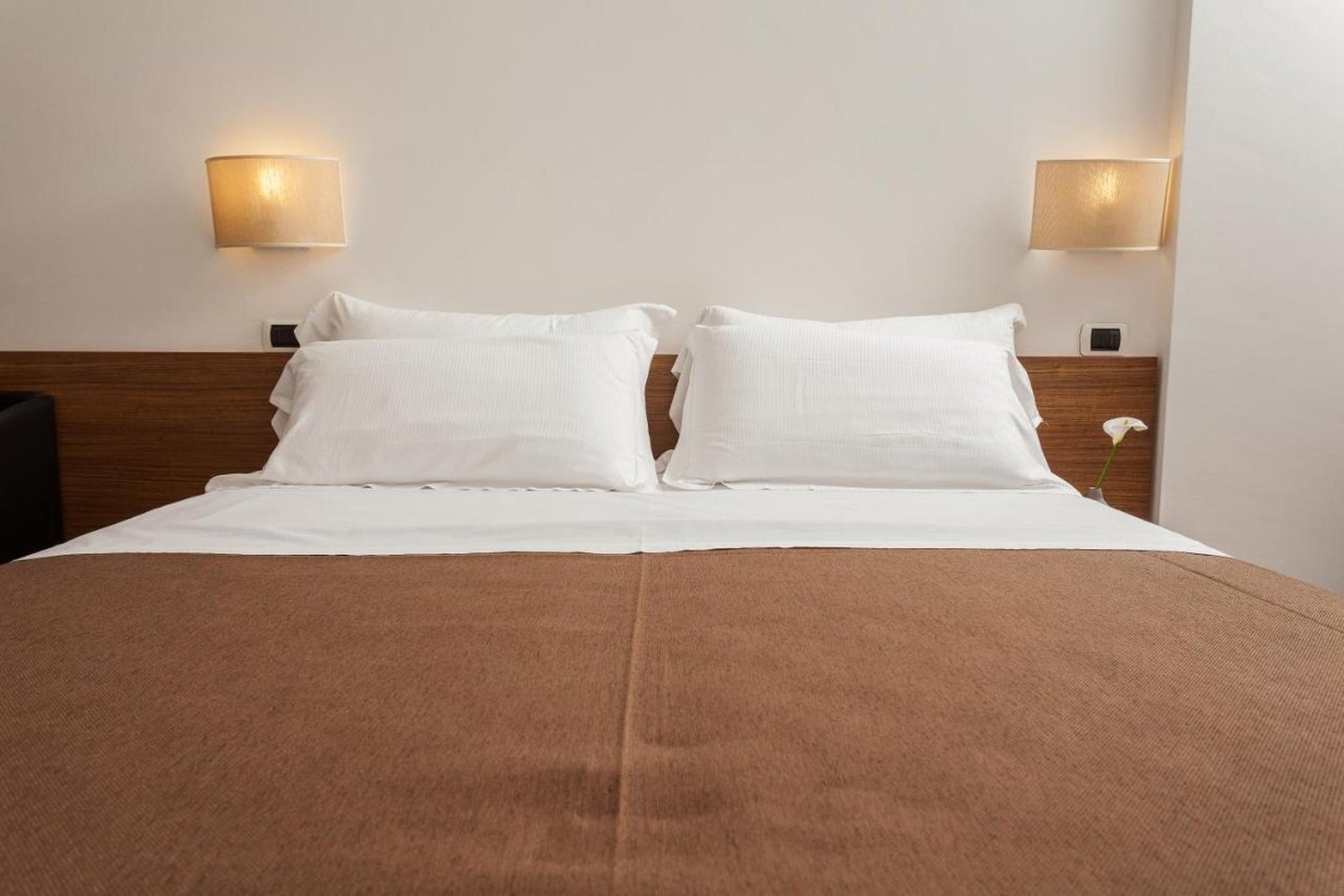 Hotel Cristallo Rimini 17/43