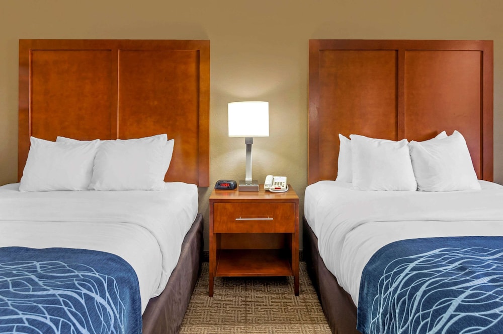 Comfort Inn & Suites Lynchburg Airport - University Area 9/40