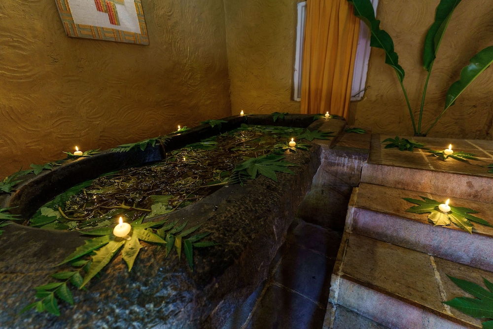 Siddhalepa Ayurveda Health Resort 21/50
