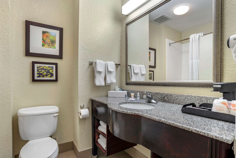Comfort Inn & Suites Marianna I-10 19/38