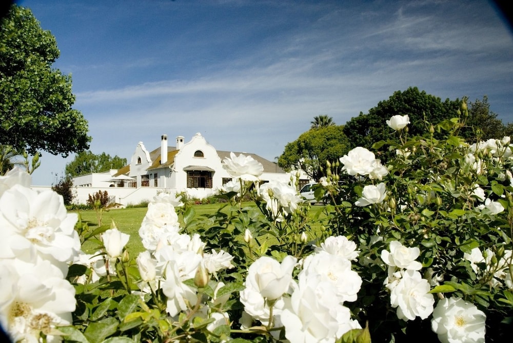 Excelsior Manor Guesthouse 46/50