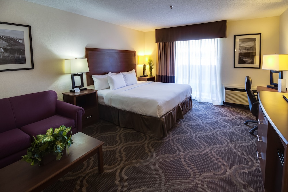 Ashmore Inn and Suites 18/61