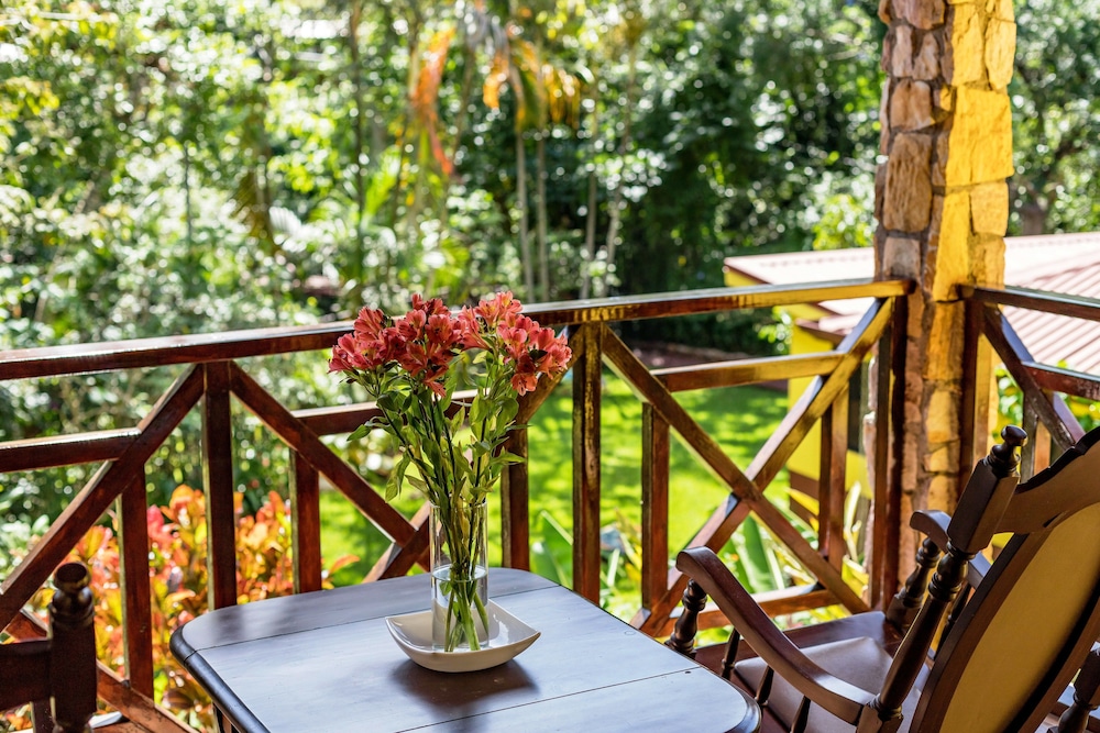 La Terraza Guest House 40/50