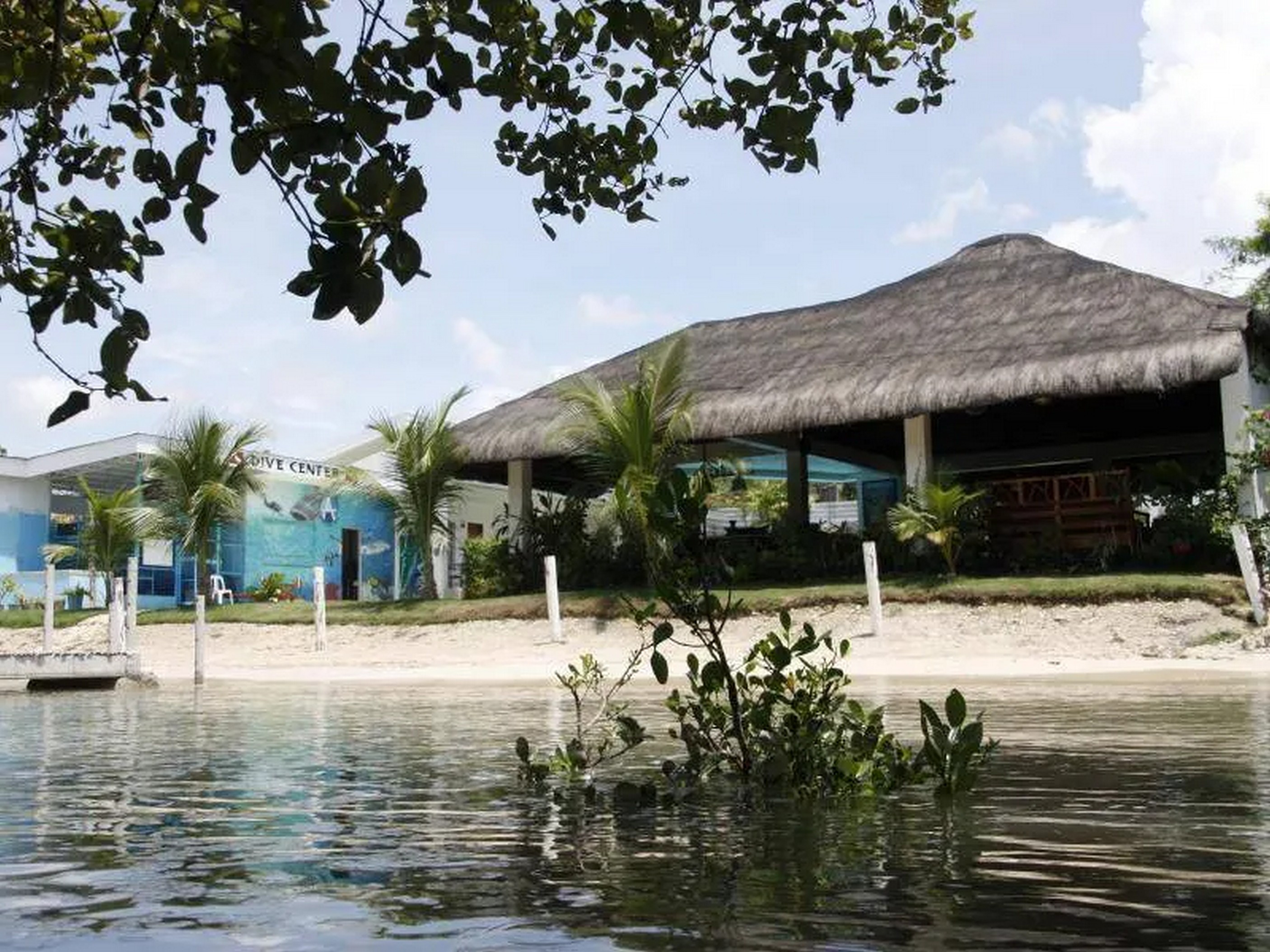 Ariella Mangrove & Eco Resort by Hiveroom 22/25