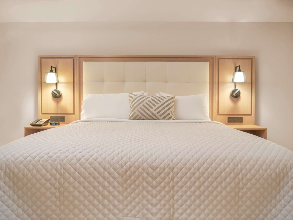MS Milenium Monterrey Curio Collection by Hilton 21/77