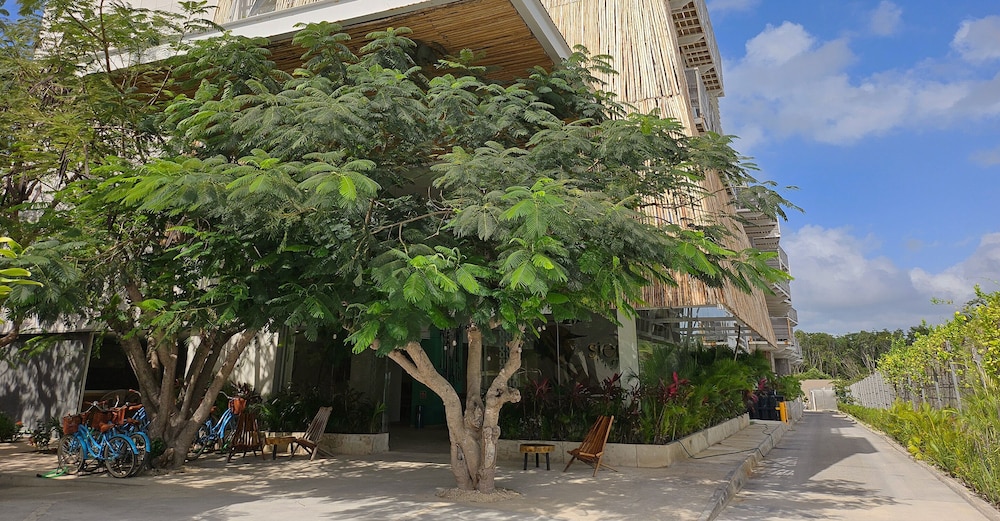 Siente Tulum 46/60