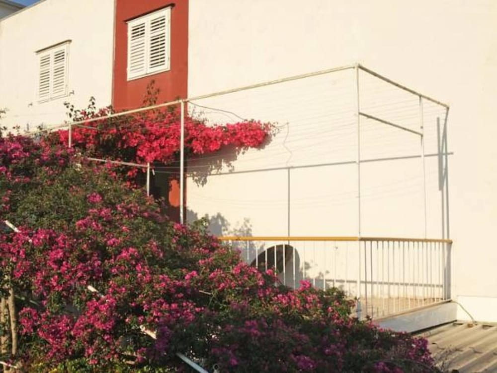 Rooms Vinka Tudor 39/50