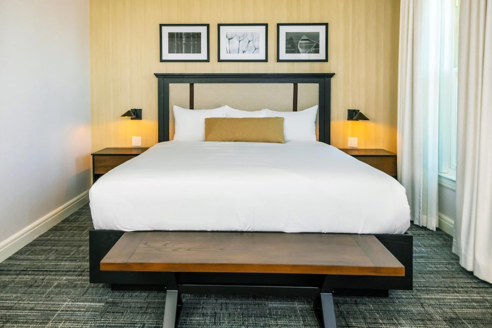 Room, King Bed