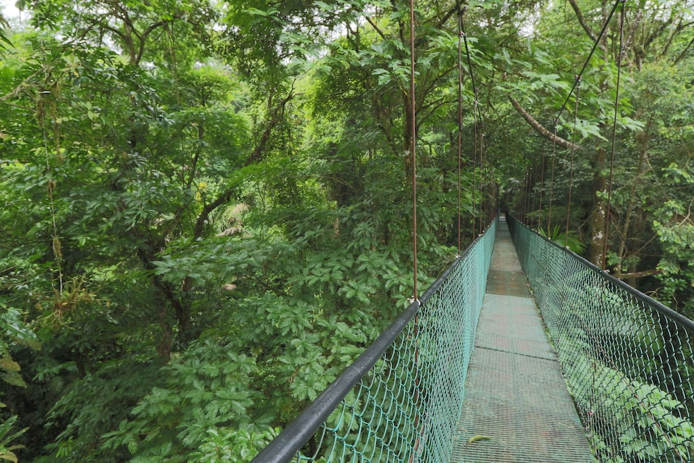 Tirimbina Rainforest Lodge 42/50
