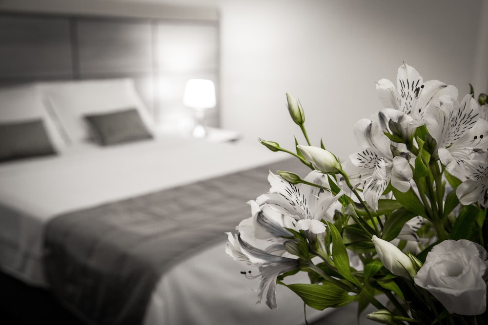 Hotel Dan Inn Uberaba & Convencoes 26/46