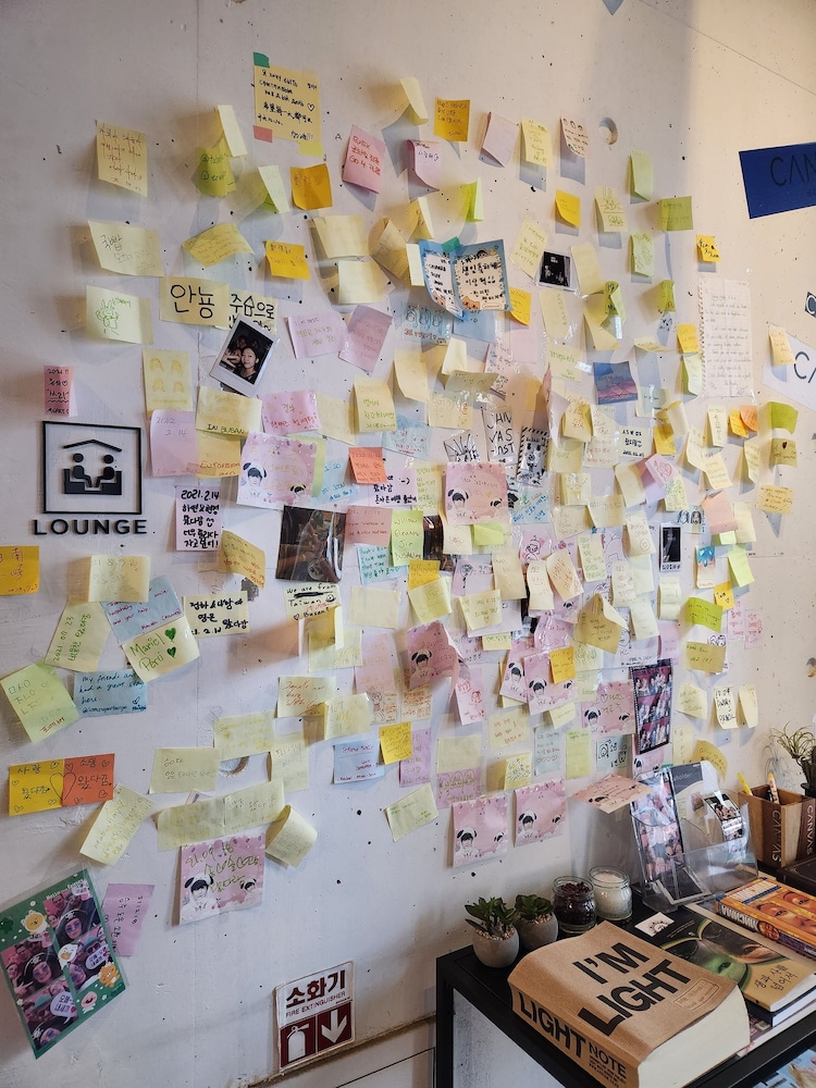 Canvas Hostel 41/54
