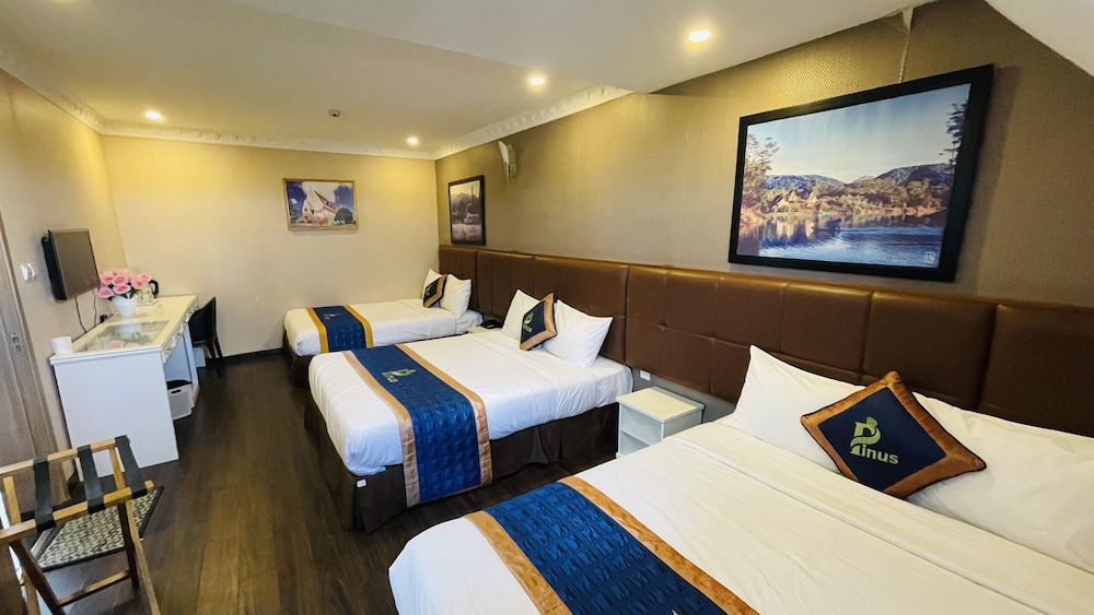 Pinus Hotel 23/51