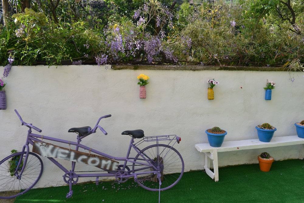 Sorrento Experience 53/56