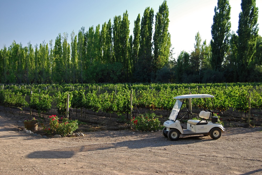 Algodon Wine Estates and Champions Club 27/67