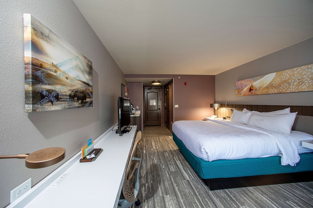 Hilton Garden Inn Rapid City 18/50